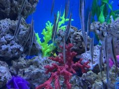 -成都浩海立方海洋公园