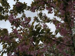 -贵阳市花溪国家城市湿地公园