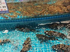 -新阿布海鲜大酒店