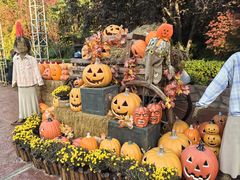 -郑州方特梦幻王国