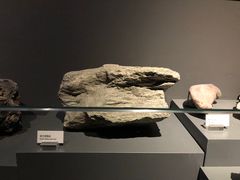 -重庆自然博物馆(新馆)