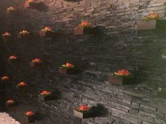 -纯泰泰式古法按摩SPA(丽景华庭店)