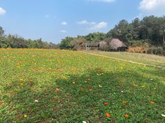 -保利石象湖景区
