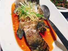 清蒸老虎斑-徐记海鲜(曲江南湖店)