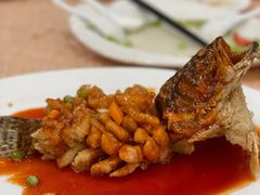 松鼠桂鱼-老苏州茶酒楼