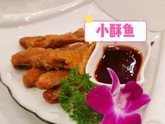 -正阳春烤鸭店(杨楼店)