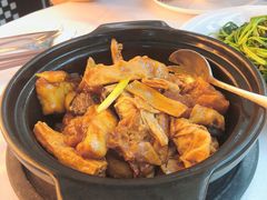 生焖海石斑-广州塔晖粤轩中餐厅