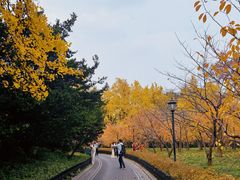 -中山公园