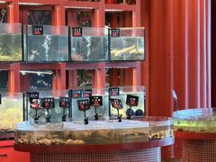 -粤界(望京金辉店)