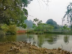 -靖西鹅泉风景区