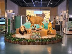 -陕西自然博物馆