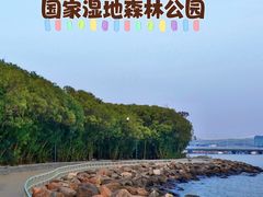 -上海吴淞炮台湾国家湿地公园
