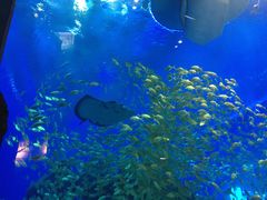 -成都浩海立方海洋公园