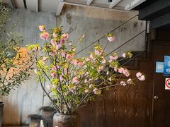 -Apollo·西班牙小酒馆(安福路店)