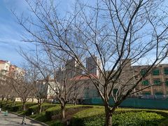 -上海外国语大学(虹口校区)