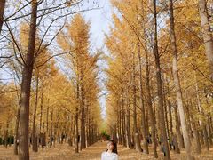 -汉景帝阳陵博物院