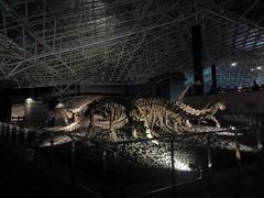 -世界恐龙谷景区