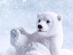 -肯德基(槐苑店)