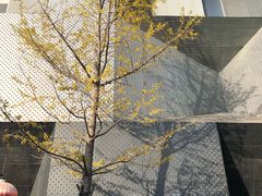 -南京书画院金陵美术馆