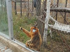 -哈尔滨北方森林动物园