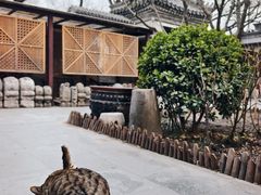 -正阳书局(西四南大街店)