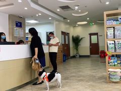 -美联众合动物医院·24h转诊中心