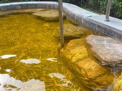 -英德宝晶宫天鹅湖茶语温泉
