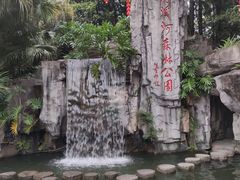 -广州市流溪河国家森林公园