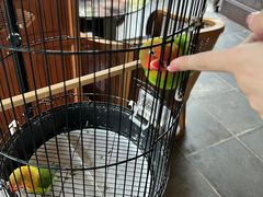 -广富林宰相府酒店·水云间