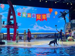 -三亚海昌梦幻海洋不夜城