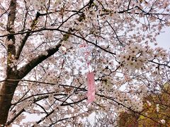 -苏州上方山国家森林公园
