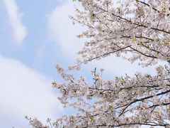 -上海辰山植物园