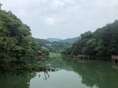 -洪崖丹井