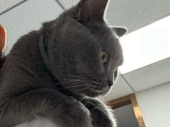 -宠颐生宠物医院外科·内科·皮肤科·影像科(石龙店)
