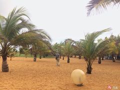 -尼甘布海滩