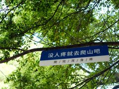 -石台牯牛降景区