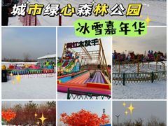 -绿野森林乐园冰雪季