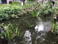 -大妙火锅·非物质文化遗产(东湖公园店)