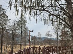 -四明湖