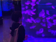 -波塞冬海底世界
