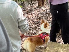 -杭州半山国家森林公园