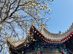 -西安市广仁寺