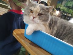 -藦茜花园宠物主题亲子互动体验馆(国顺东路店)