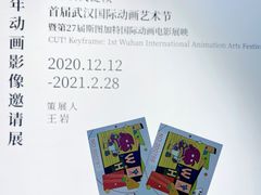 -武汉光谷K11