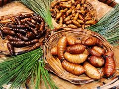 -昆虫窝子·特色云南菜(拓东路总店)