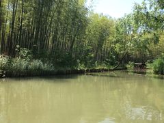 -同里国家湿地公园
