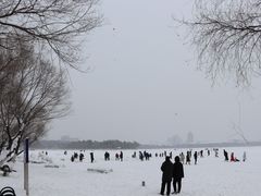 -长春市南湖公园