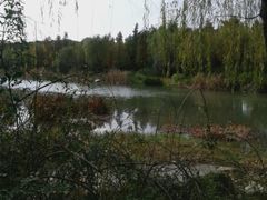 android_upload_pic-新江湾城公园