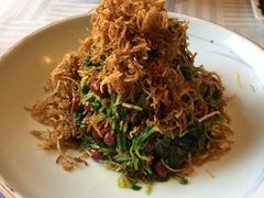 巧拌豆苗-四季民福烤鸭店(王府井灯市口店)