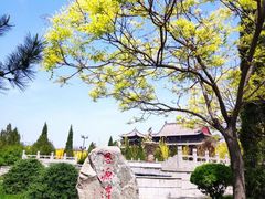 -大槐树寻根祭祖园